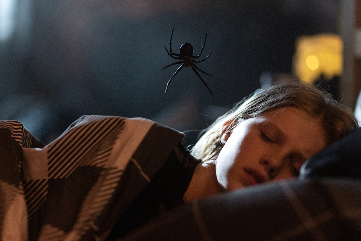Production wraps in Sydney on Arachnophobia Horror film Sting Screen
