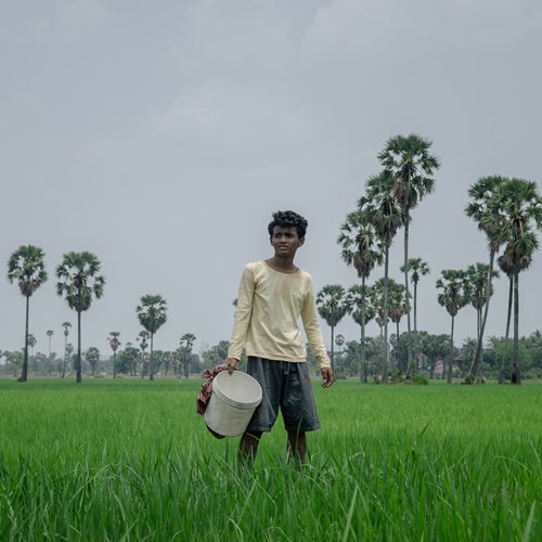 In Cinemas this October