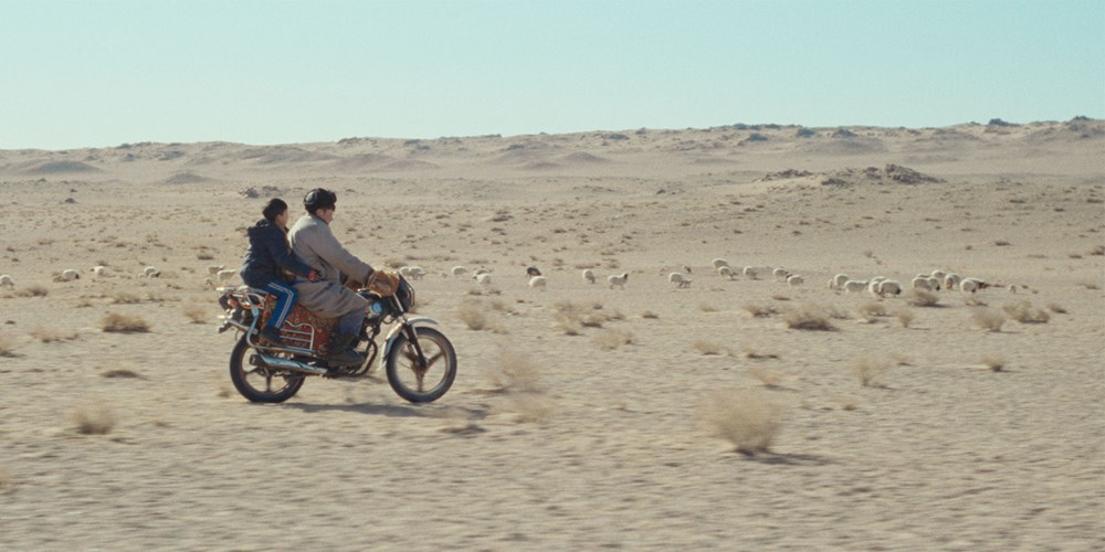 The Wolves Always Come at Night (2024) - The Screen Guide