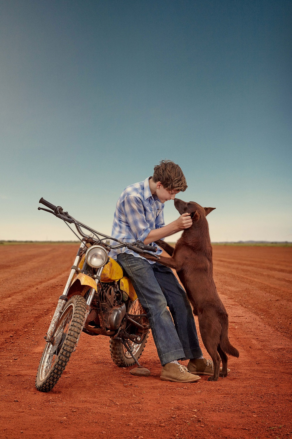 RED DOG True Blue (2016) The Screen Guide Screen Australia