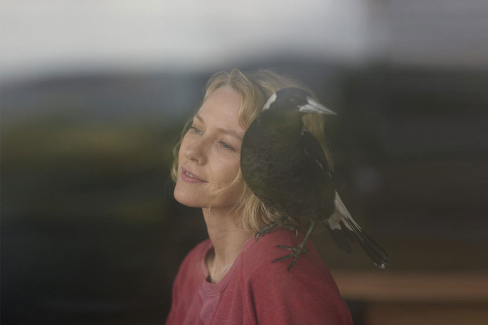 Screen Australia: Celebrating Australian Stories
