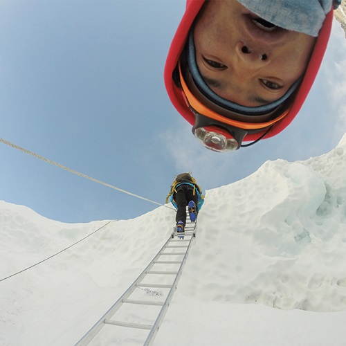 Documentary Box Office Hits