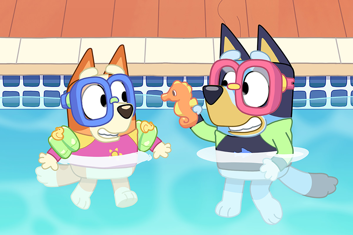 Animation, Blue Heeler dogs Bluey and Bingo play in the pool together wearing brightly coloured goggles