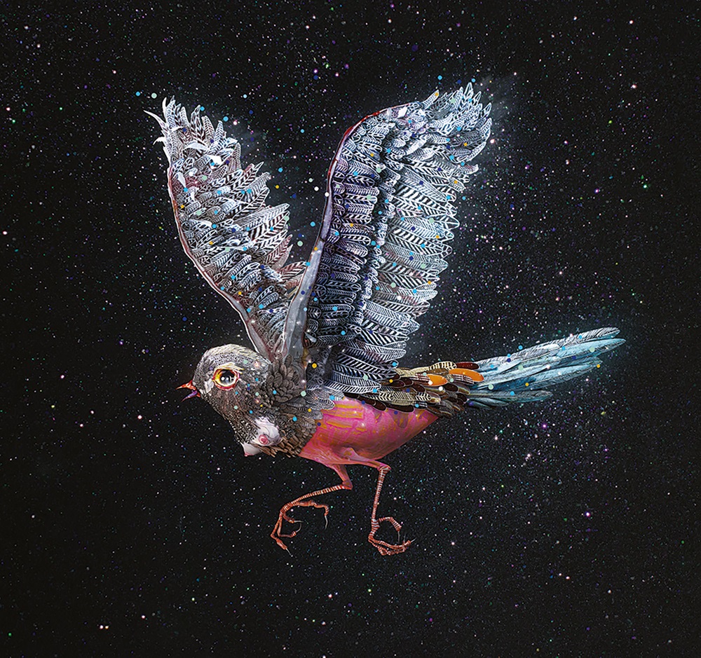 Oscar Wilde's the Nightingale and the Rose (2014) The Screen Guide