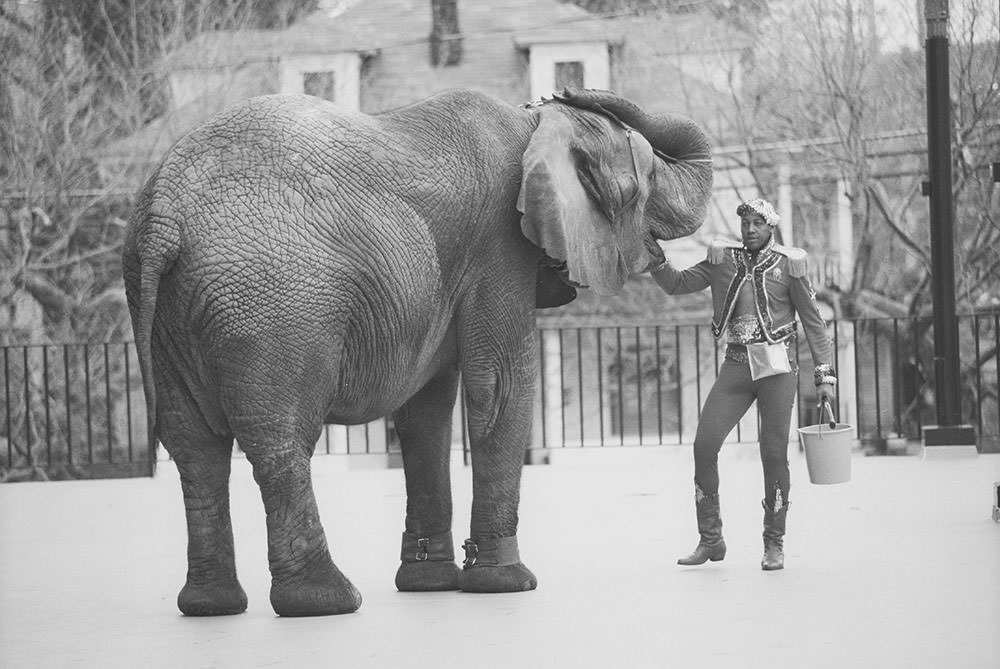 <em>Tyke, Elephant Outlaw</em>