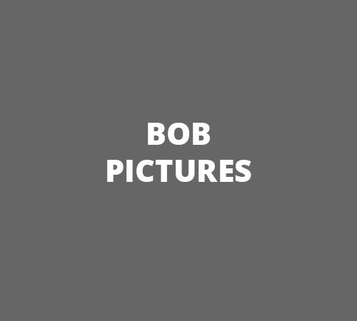 Bob Pictures Pty Ltd