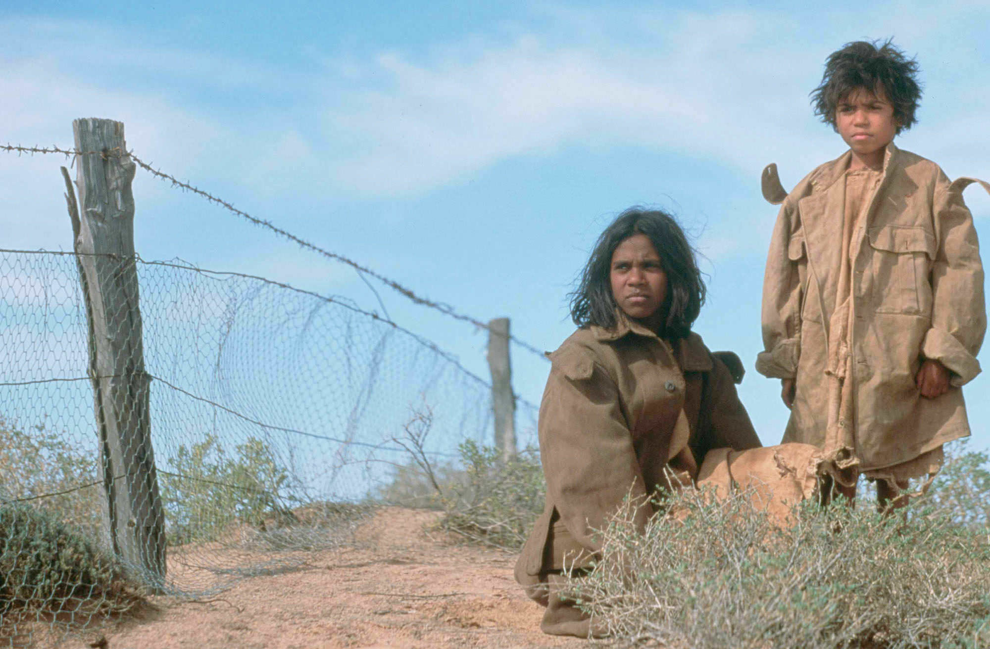 Essay questions rabbit proof fence